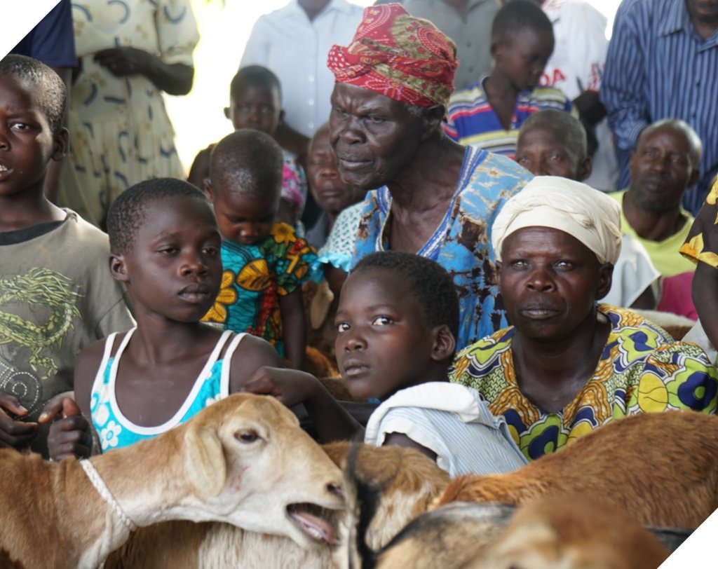 Give pregnant goat to widow or orphan in Uganda