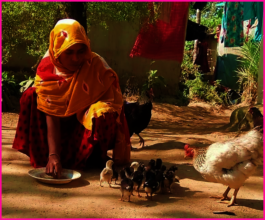 Development of Livelihood
