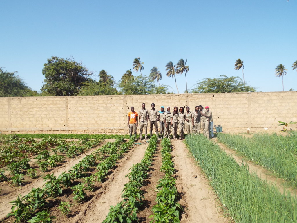 Maintain 50 vulnerable girls  in school in Senegal