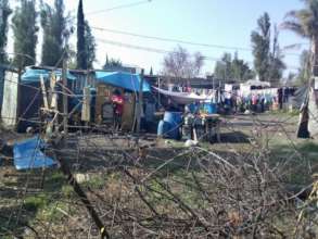 Months later, our kids are still living in tents