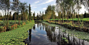 Canales of Xochimilco