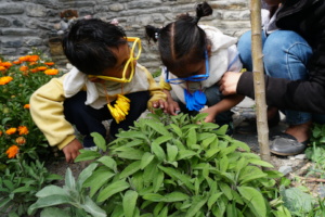 Mayank, Aanamika and the sage bush