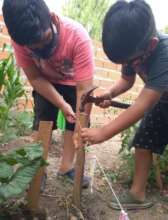 Gardening Workshop