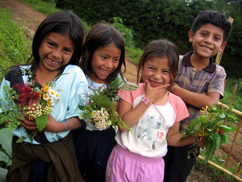 Build a Green School in Guatemala for 300 Maya