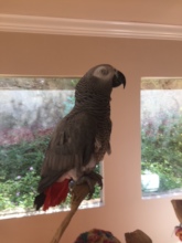 Buddy Updated Photo #1