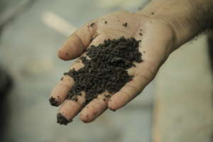 Organic Compost