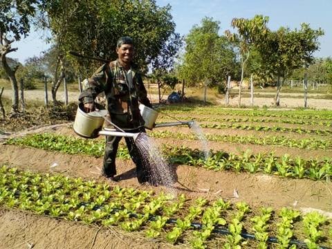 Watering with two hands