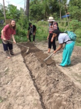 Gardening