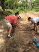 Planting Seeds
