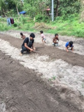 More planting