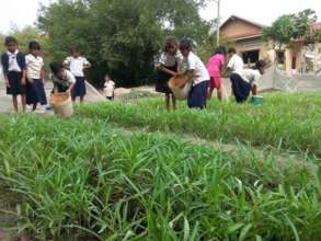 Kids Watering Morning Glory