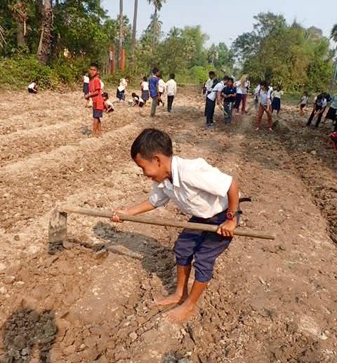 Preparing the soil