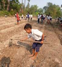Preparing the soil