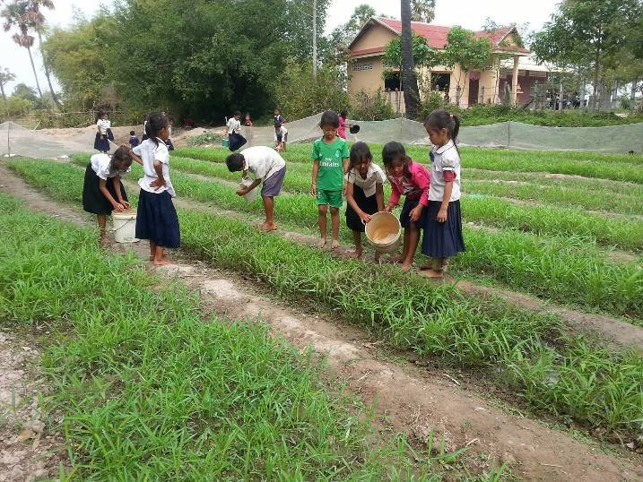 Growing Crops