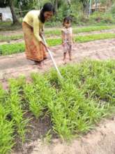 Mother Teaching Daughter to water