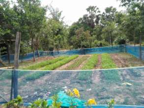 Village Garden