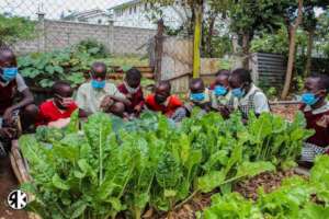 An Update from our Environment Project!