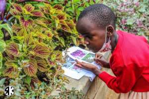 Learning about Plants!