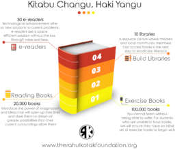 Program Infographic