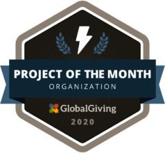 Project of the Month: February 2019