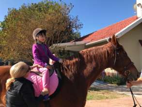 Equine Therapy