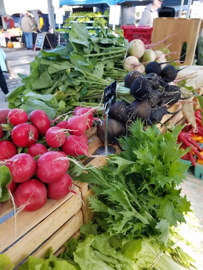 "Radishing" produce shared at Donation Station!