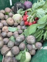 Produce shared at Donation Station