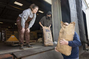 Loading spuds at last year's seed potato giveaway