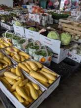 Summer squash and other produce on the CPA floor