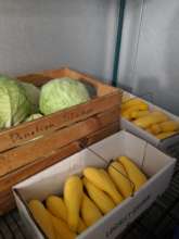 Produce is stored in our cooler until distribution