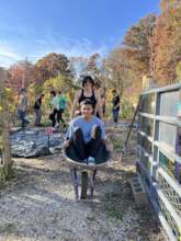 Volunteer fun at a fall community garden workday