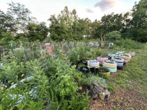 Sunset at the Community Garden