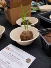 A recent community seed starting workshop