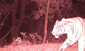 DoFSC/WWF Nepal