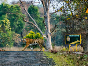 ePhotocorp / iStock / WWF-Australia