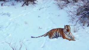 Central Asia and Ministry of Ecology