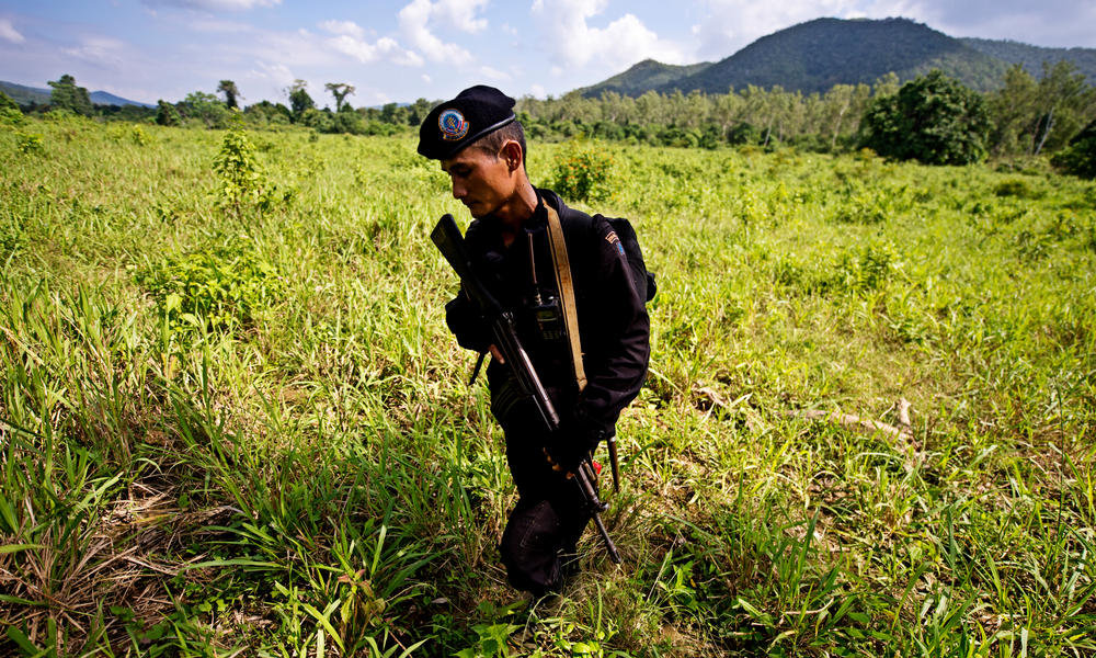 Project C.A.T.+WWF: Double the Number of Tigers