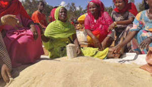 Women with GrowEastAfrica sell teff at market