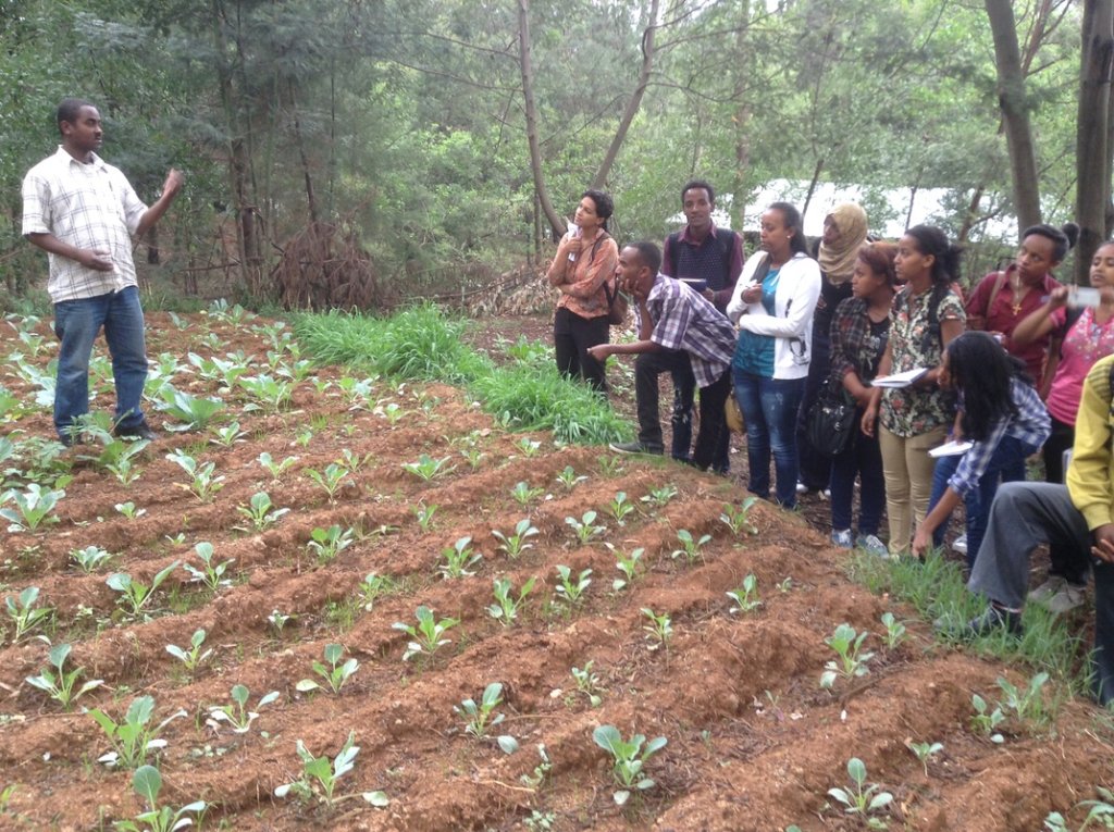 Seeds for 100 Displaced Ethiopian Women in Soyama