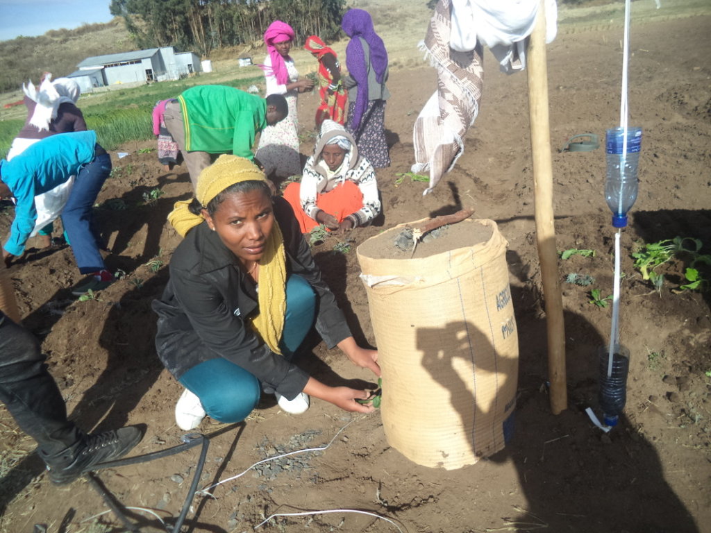 Seeds for 100 Displaced Ethiopian Women in Soyama