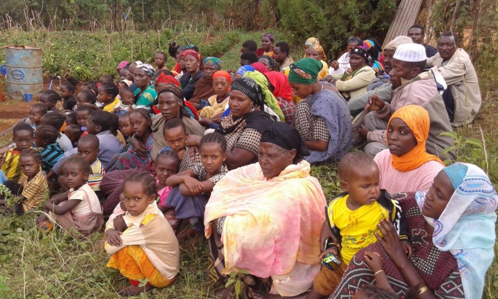 Seeds for 100 Displaced Ethiopian Women in Soyama