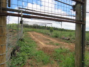 Baboon Trap Cage