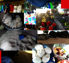 Products sold by the women