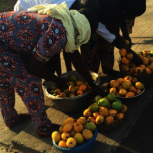 Small Business in Togo