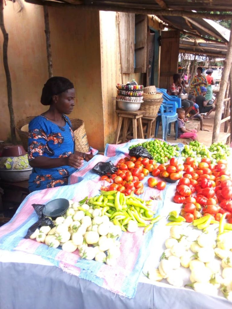 Help Women Work their Way Out of Poverty in Togo