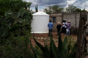 Reviewing a rainwater system between the green