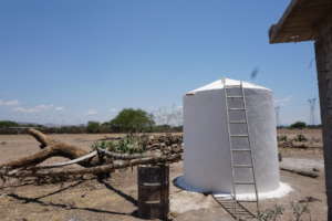 Waiting for the rains to come in Terreros