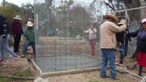 Coming together to build a new system