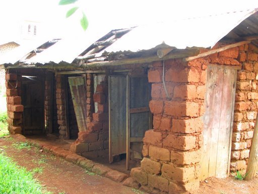 Water + Sanitation + Hygiene = Healthy Schools