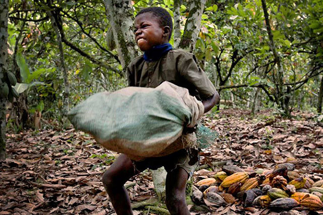 Education Center For Child Slavery On Volta Lake